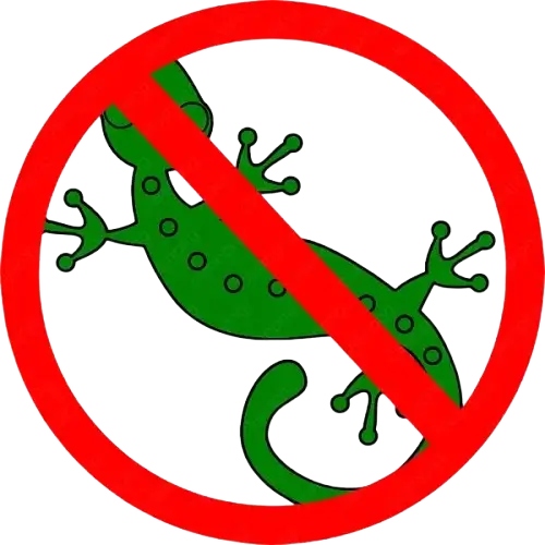 Lizard_Control Sewrvices