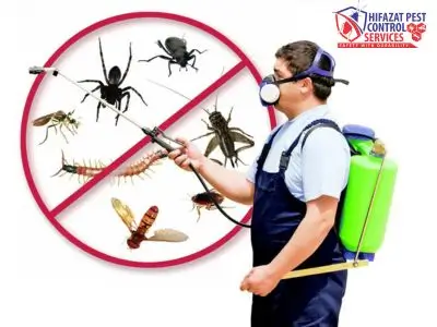 Pest Control Fumigation
