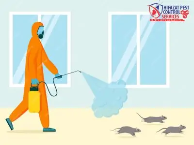 Rat Fumigation