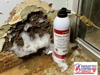 Termite Fumigation