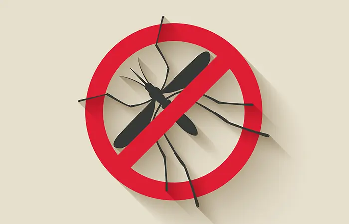 mosquito killer