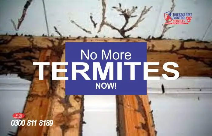 termite treatment in islamabad