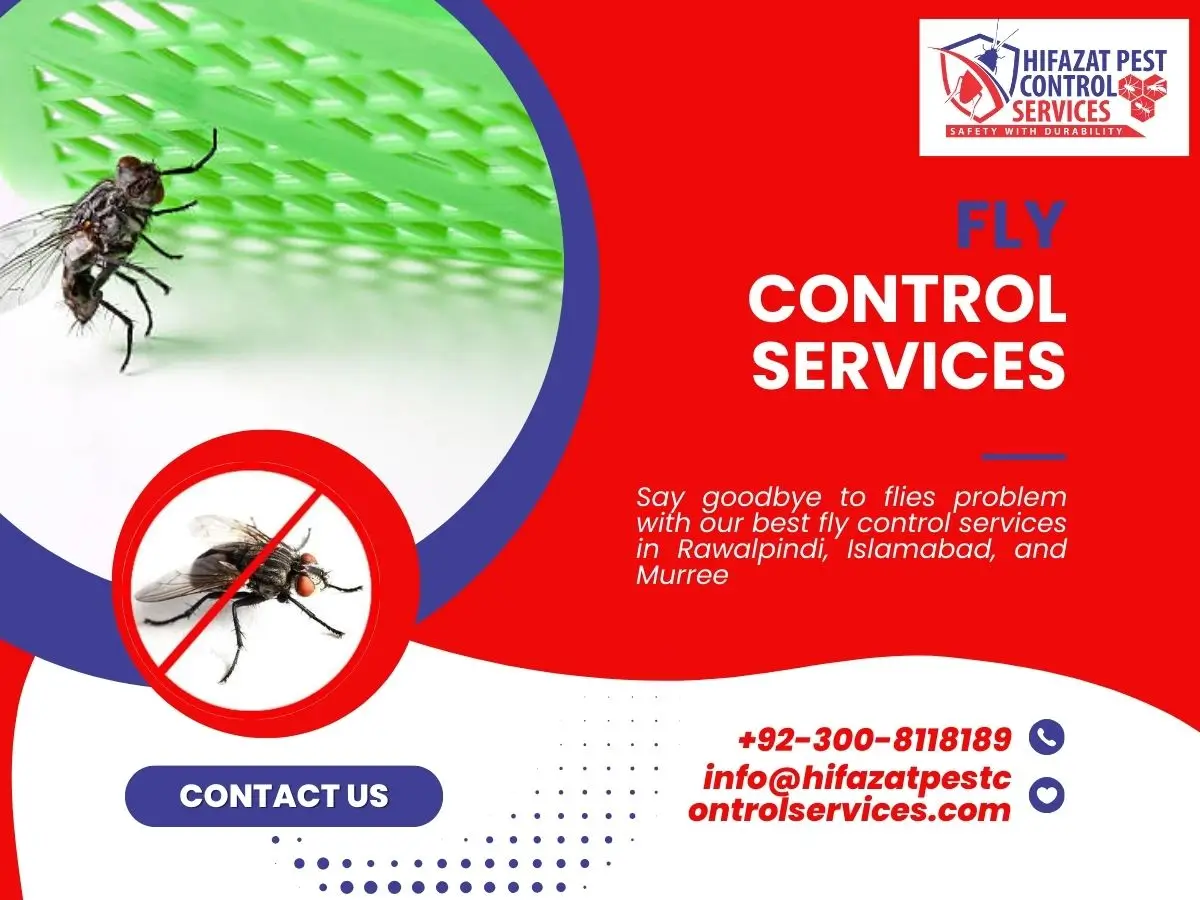 Fly Control Services in Rawalpindi