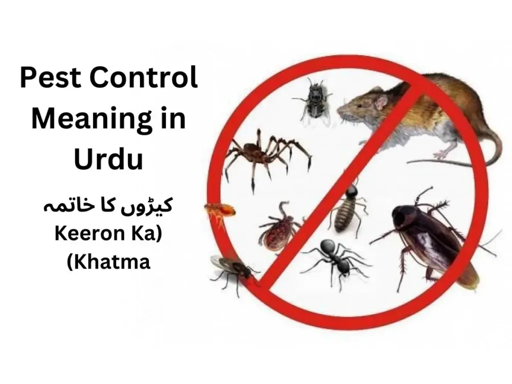 Pest Control Meaning in Urdu