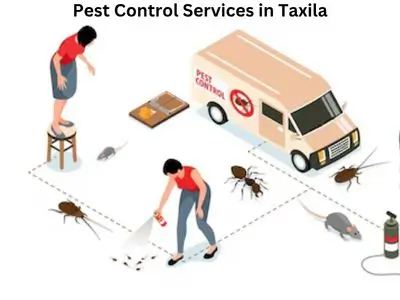 Pest Control Services in Taxila